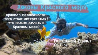 Красное море - правила безопасности. Экскурсии Шарм Эль Шейх 2025.