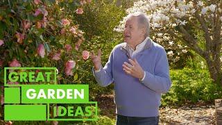 All About CAMELLIAS | GARDEN | Great Home Ideas