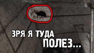 Сидел, спокойно играл и тут ЭТО.. - STALKER Тайный Путь #2