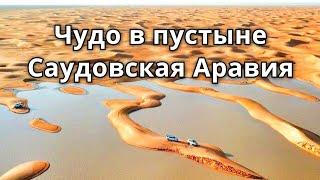 Чудо природы в пустыне! Саудовская пустыня превращается в большое озеро!