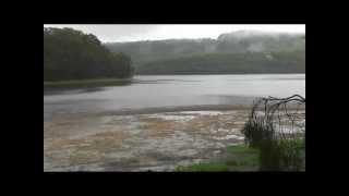 Rainy day near Seal Rock and Bulladella, NSW, Australia