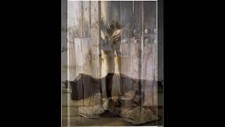 Eduardo Naranjo  Oil Painting 336