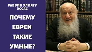 Почему евреи такие умные люди?