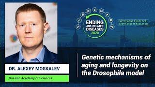 Alexey Moskalev | Genetic Mechanisms of Aging in the Drosophila Model