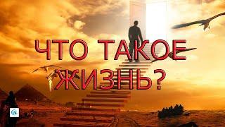 Что такое жизнь?