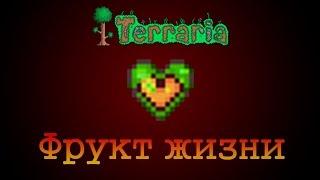 Terraria-Фрукты жизни(Life Fruit)