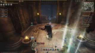 Black Desert Tamer (Beast Master 금수랑 ) A little bit pvp and gvg INF Guild