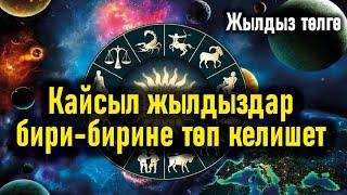 Айымдарга кайсы жылдыз белгисиндеги мырзалар төп келет?