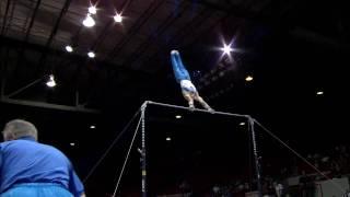 Alexander Artemev - High Bar - 2008 Visa Championships - Men - Day 2