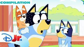 FULL BLUEY Minisodes Compilation!  | 6 Minisodes | @disneyjr x  @BlueyOfficialChannel