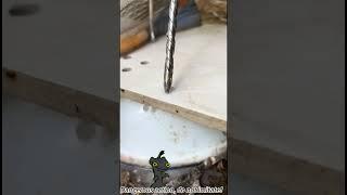 Multi-Purpose Eccentric Drill Bit for Tile, Glass, Wood, and Metal Projects