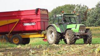 Deutz Fahr DX 6 30 im Maisernte (Sound)!!!