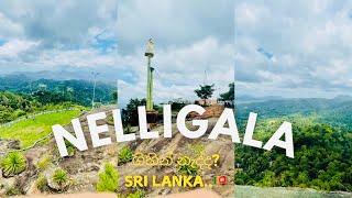 හරි ලස්සන තැනක්How beautiful Nelligala?#Toidi #travel #Nelligala #viral #srilanka