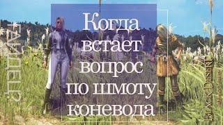 Одежда коневода, полезный конь и что за клеймо? || Профессия - Укрощение. Часть 3 || Black Desert