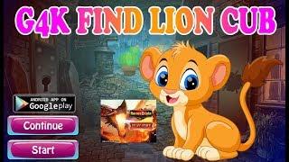 G4K Find Lion Cub Walkthrough [Games4King]