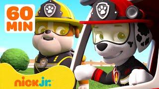 Patrulha Canina NOVOS EPISÓDIOS Compilação! | 1 Hora | Nick Jr. em Português