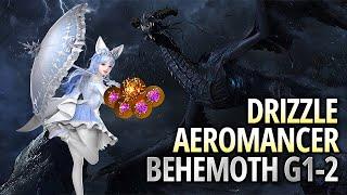 [Lost Ark]1651 Drizzle Aeromancer - Behemoth Gate 1-2