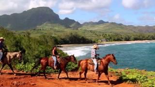 Poipu Adventure Activities by Kelly Brooks | Whalers Cove Resort