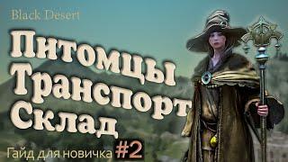 №2 Транспорт в бдо какого коня выбрать Питомцы в Гайд для новичка в Black Desert 2023