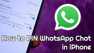 How to Pin WhatsApp chat in iPhone in WhatsApp & WhatsApp Business