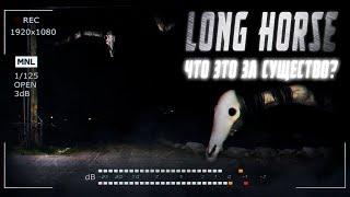 LONG HORSE - ЧТО ЭТО ЗА СУЩЕСТВО И ЧТО ОНО ИЗ СЕБЯ ПРЕДСТАВЛЯЕТ? БЕЗОБИДНО ЛИ ОНО? CREEPYPASTA