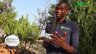 " Abel Hangoma: The Radical Farmer of Organic Farm7 