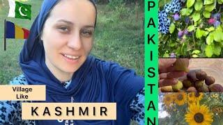 Pakistan Kashmir jaisa Gao Romania Mein | Urdu Vlogs