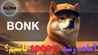 آماده رشد ۱۰۰۰ درصد برای میم کوین بونک bonk باشیم؟