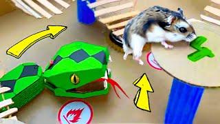 Snake Hamster Maze with Traps [OBSTACLE COURSE] + BONUS
