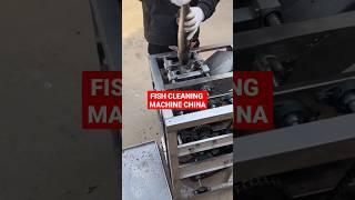 How to clean easily Fish in machine?  #fishcleaning #fish #automatic #easy #chinamachine #shorts
