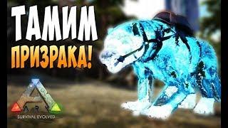 Приручаем Призрака!  - Ark Survival Evolved Realm of the Forlorn #6