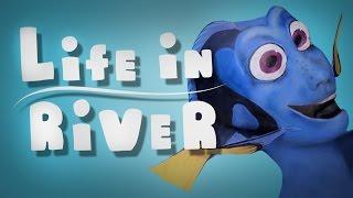 Life in river