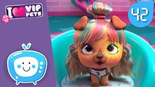  Incredible HAIRSTYLES  VIP PETS  HAIRSTYLES ‍️ Full Episodes  CARTOONS for KIDS in ENGLISH