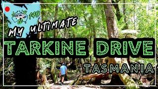 My ultimate TARKINE DRIVE-TASMANIA