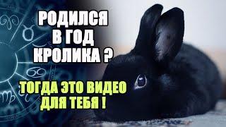 Родился в Год Кролика? Тогда это видео для тебя!