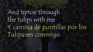 Tiny Tim - Tiptoe Thru' The Tulips (Sub. Español/Inglés)