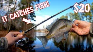 BEST Cheap Ultralight Fishing Rod that CATCHES FISH! | The SHAKESPEARE MICRO SERIES Ultralight Rod