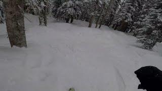 Gad 2 Powder Day at Snowbird January 27, 2020