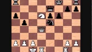 Garry Kasparov's Top Games: Kasparov vs Alexander N Panchenko