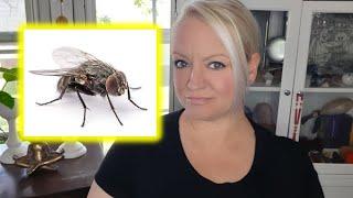 Spiritual Meaning of a Fly | Symbolism of a House Fly (Animal Omens & Symbols)