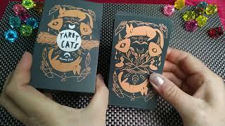 ШИКАРНАЯ КОШАЧЬЯ КОЛОДАTarot Cats a deck by Bunny Dee  НОВИНКА Алиэкспресс 