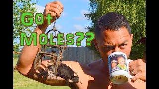 How To Trap A Mole - GUARANTEED To Work!!!