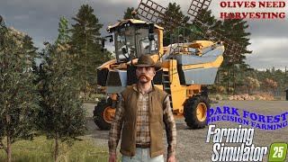 Dark Forest  FARMING SIMULATOR 25   More to harvest before winter