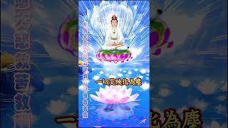 南無觀世音菩薩 #正能量分享   #shorts #觀音菩薩聖誕 #心靜心淨 #德慧圓滿 #感謝天恩師德  #善歌聖音善愿迴向化劫息災  #人心向善世界祥和