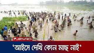 চলনবিলে হয়ে গেল পলো দিয়ে মাছ ধরা উৎসব | Chalan Beel | Natore | Jamuna TV