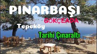 Gökçeada Tepeköy Pınarbaşı ve Tarihi Çınaraltı#gökçeada #çınaraltı #tepeköy #doğa #video #reels