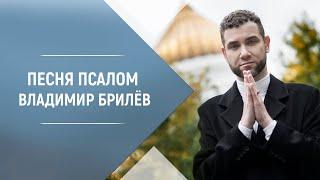 BRILEV - Псалом. | Владимир Брилёв. Хиты 2021. Топ музыка 2021. Лучшие песни 2021.