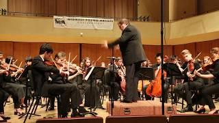 P.Tchaikovsky (1840-1893): Symphony No. 5 - II. Andante cantabile con alcuna licenza