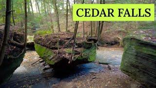 Delightful Cedar Falls Hike at Hocking Hills