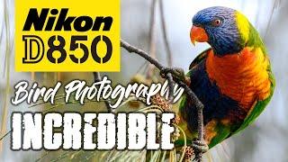 Nikon D850 Bird Photography | Beauty and the 45MP Beast!